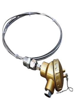 Temperatur Transmitter Flexible